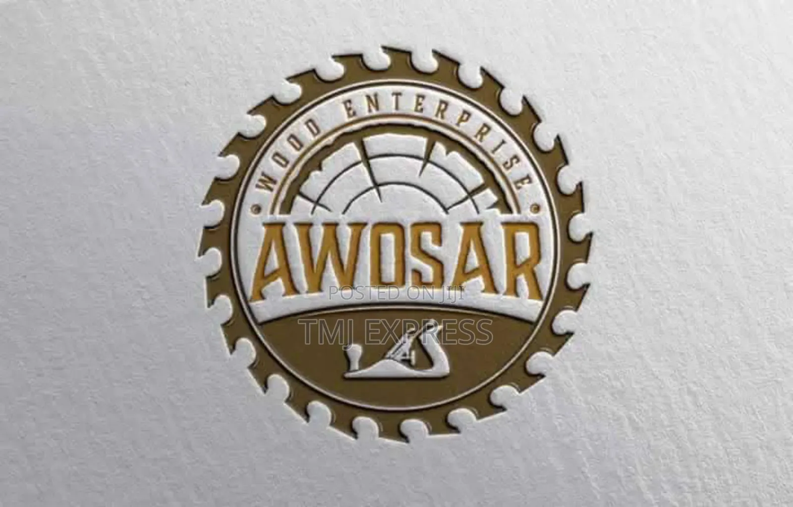 Professional Logo Design
