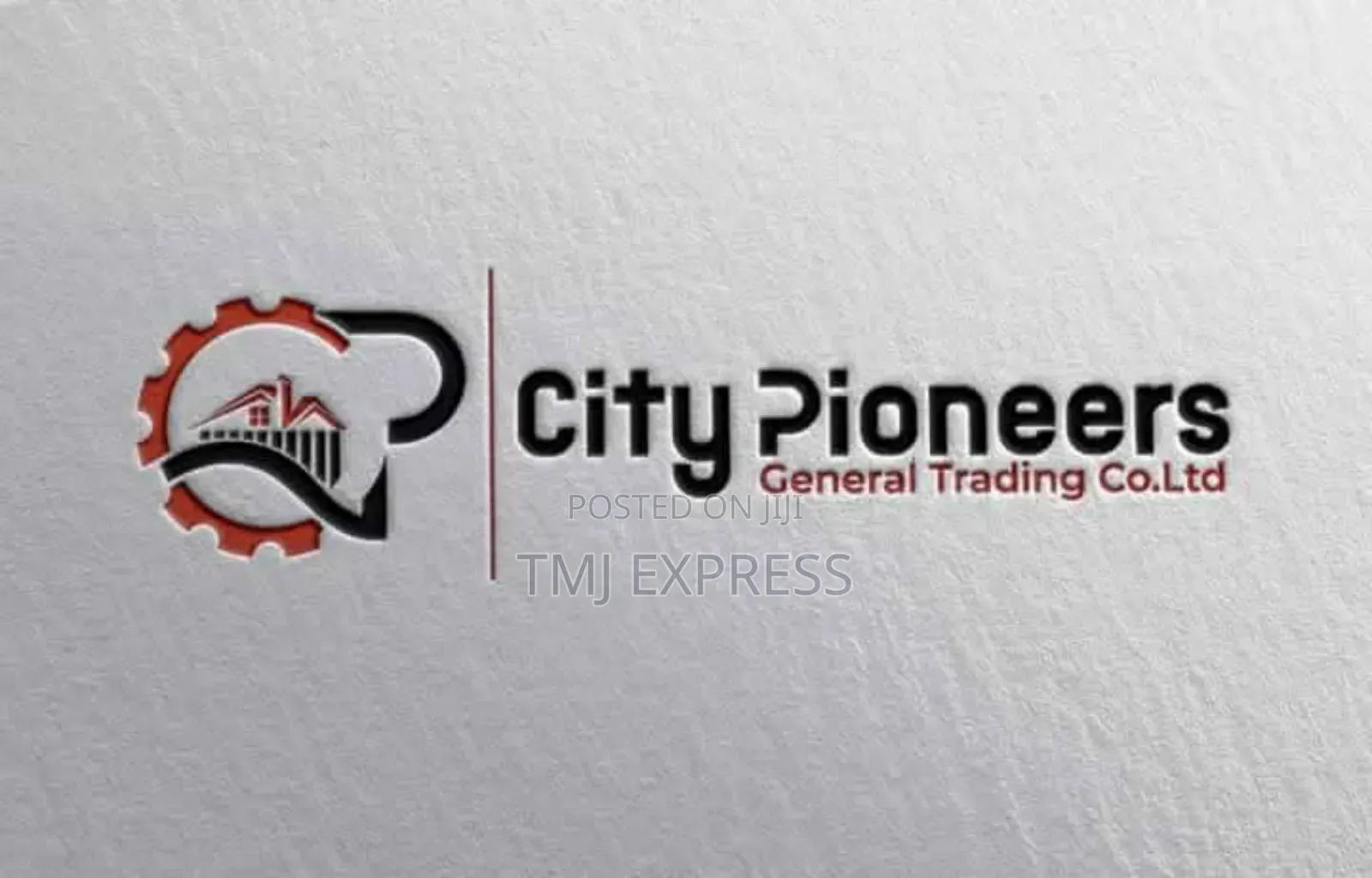 Professional Logo Design