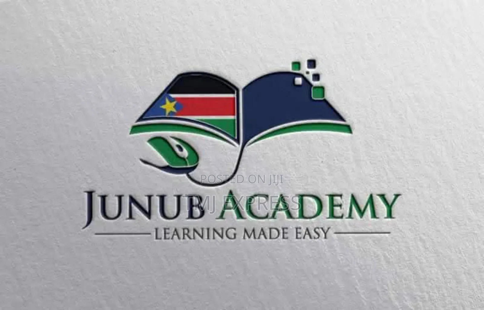 Professional Logo Design