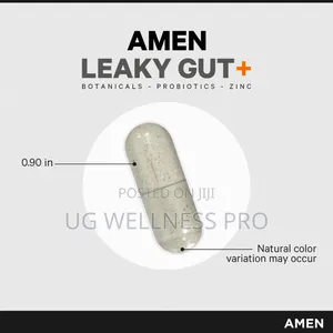 Leaky Gut Advanced Probiotics Fermented Prebiotics 90 Cap