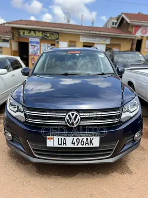 Volkswagen Tiguan 2012 Blue