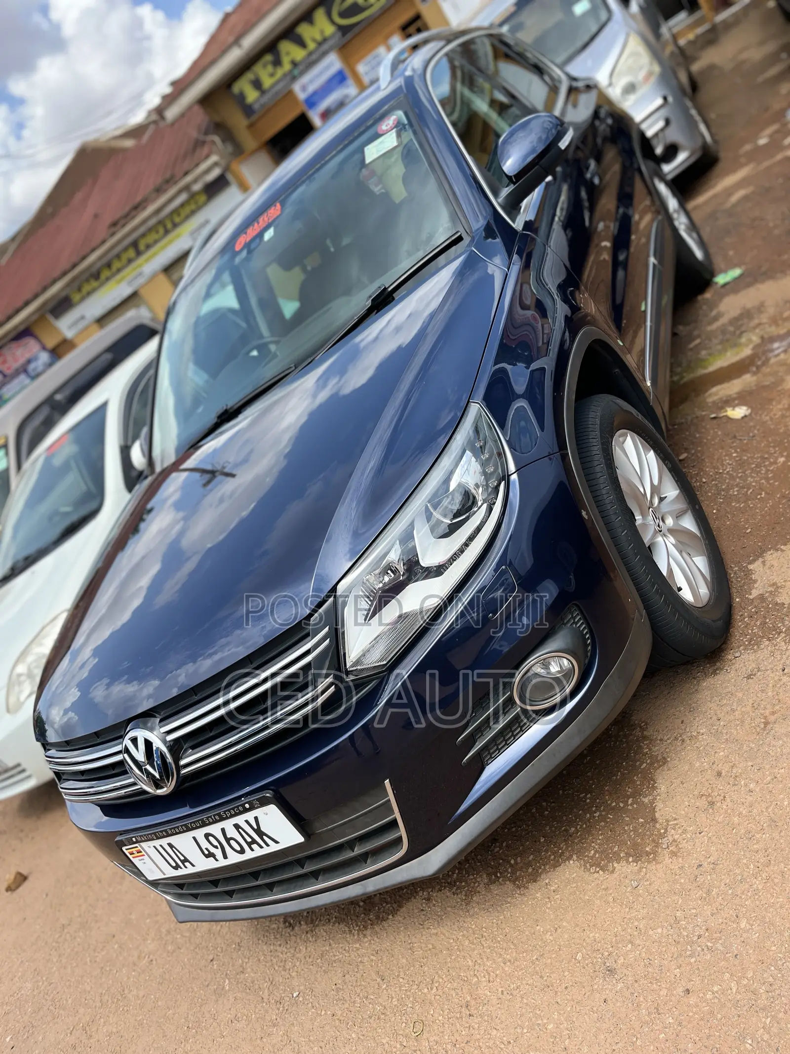 Volkswagen Tiguan 2012 Blue