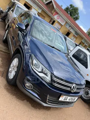 Volkswagen Tiguan 2012 Blue