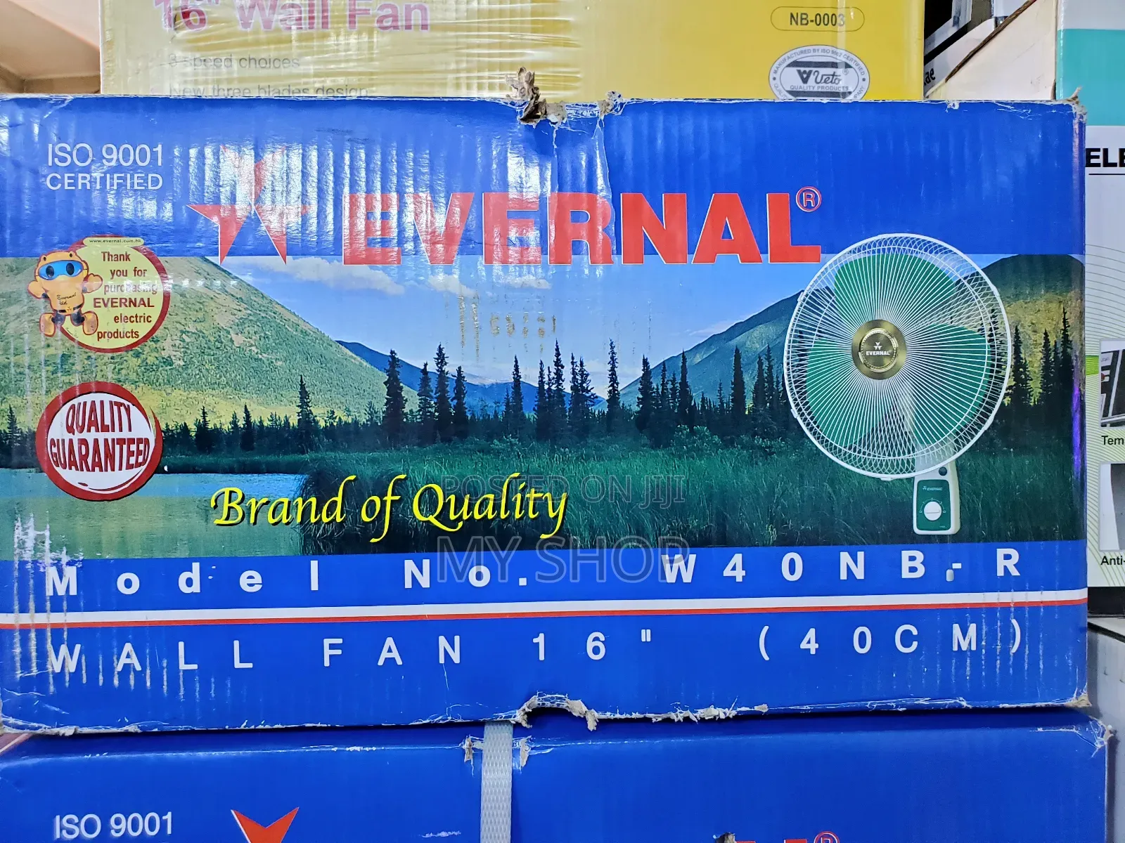 Evernal Wall Fan