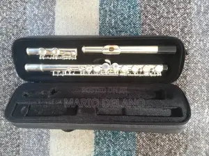 Flute (Professional Flute)