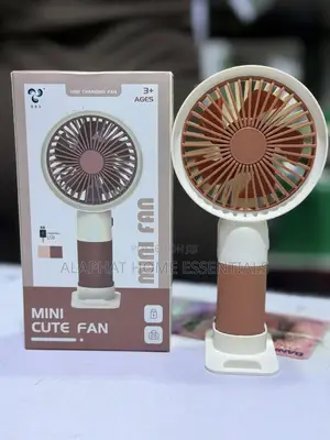 Small Hand Held Fan