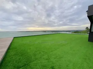 Classic Water Proof Grass Carpet