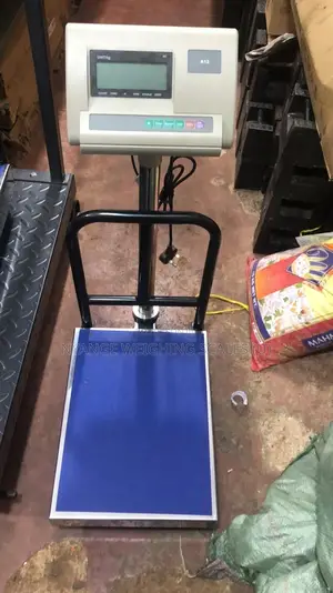 A12 Weighing Scale Stainless Steal Weigh Strong Weighing Scale 100kg