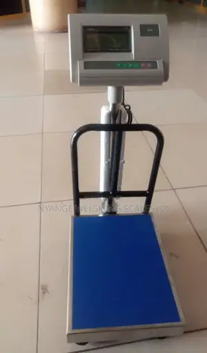 Portable Platform Digital Electric Scales Yz-909(G6s)