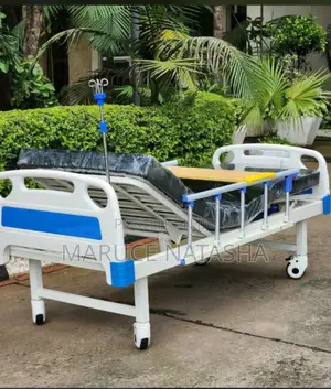Double Crank Patient Bed With a Mattress