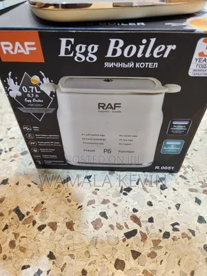 Electric Egg Boiler