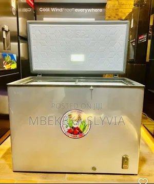 SPJ Freezer 400 Litres