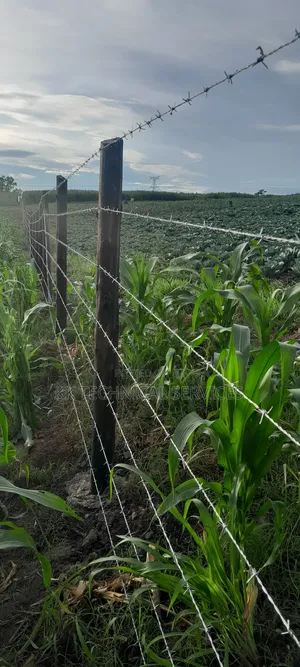 Farm Fencing