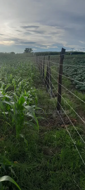 Farm Fencing
