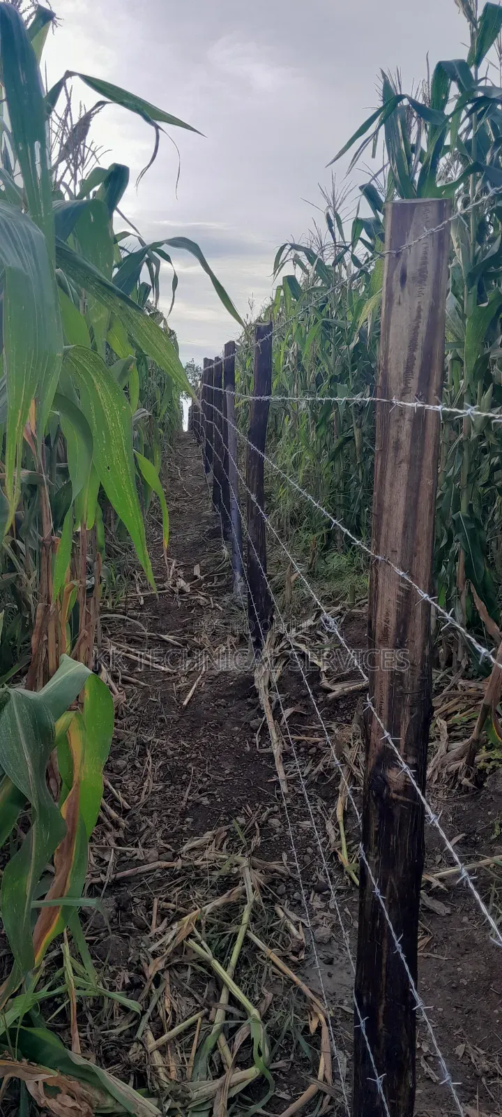 Farm Fencing