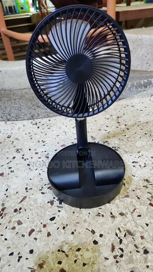 Portable Fan