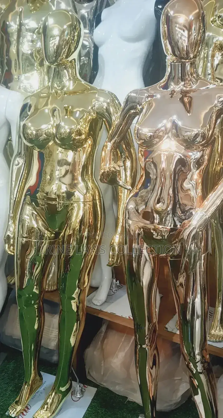 Women's Full Dummies