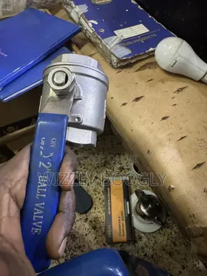 Stainless Steel Globe Ball Valve 2”