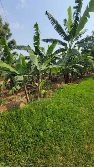 Katale Plot for Sale