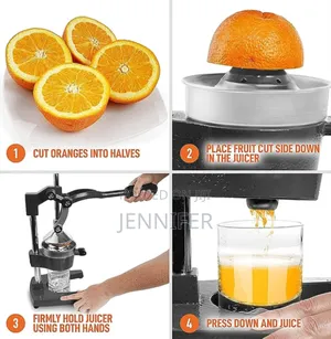Manual Fruit Juicer