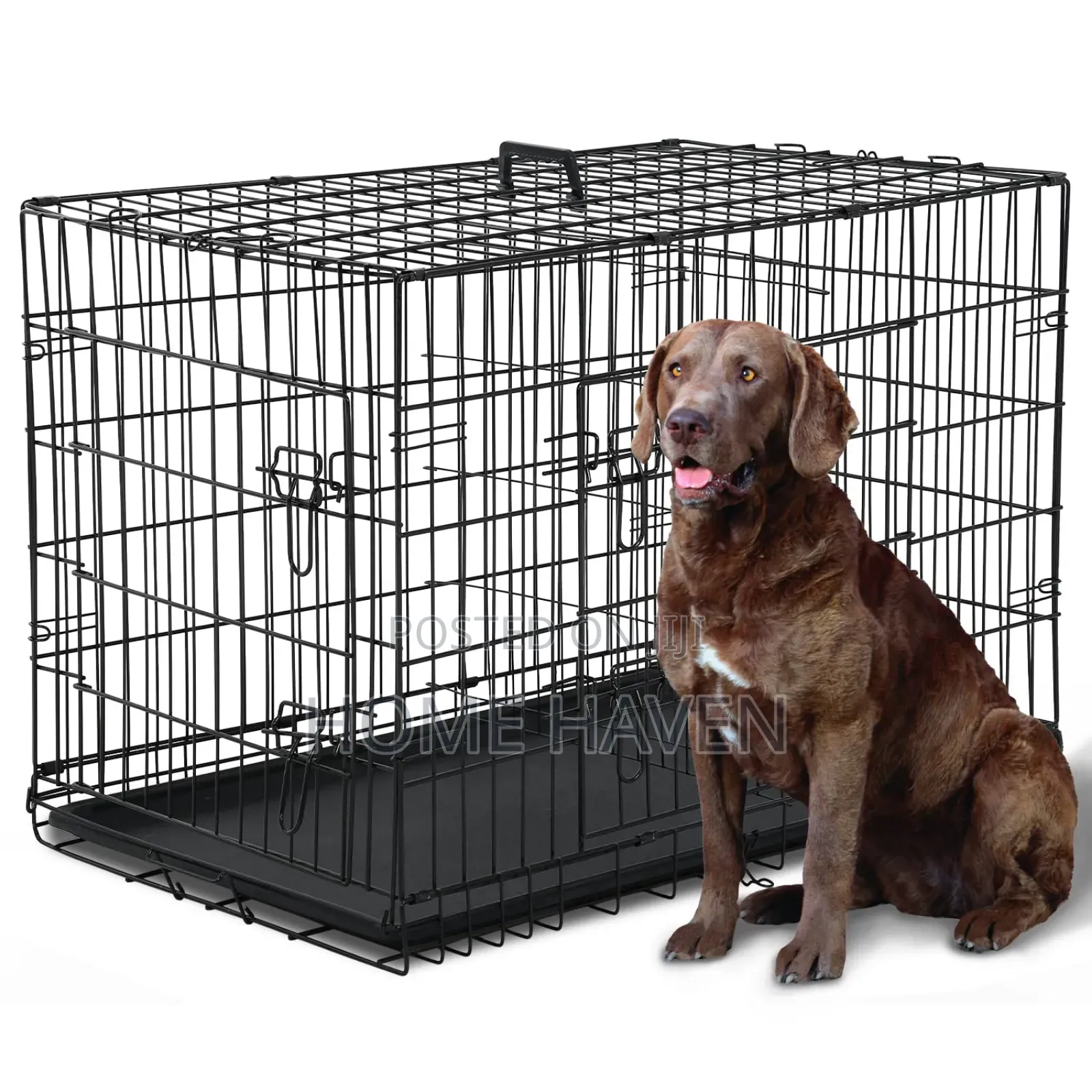 Large Dog Cage