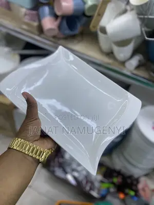 Plain White Rectangular Dinner Plates (12 Pieces)