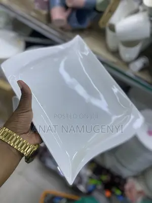 Plain White Rectangular Dinner Plates (12 Pieces)