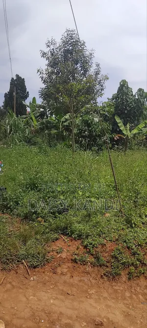 80 Acres of Land for Sale