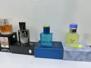 Smart Collection Spray Perfumes 25mls
