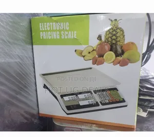 30kg Electronic Digital Price Computing Weighing Scale