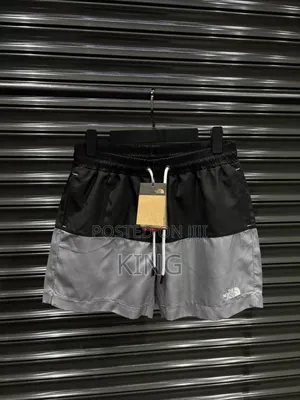 Simple North Face Utility Shorts