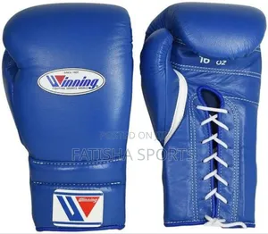 Winning Boxing Gloves