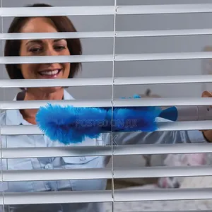 Hurricane Spin Duster
