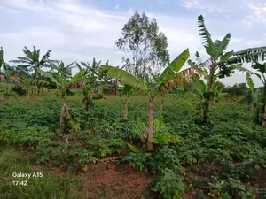 5 Acres for Sale Located at Mukono Nkokonjeru