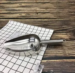 Mini Ice Scoop Kitchen Scoop