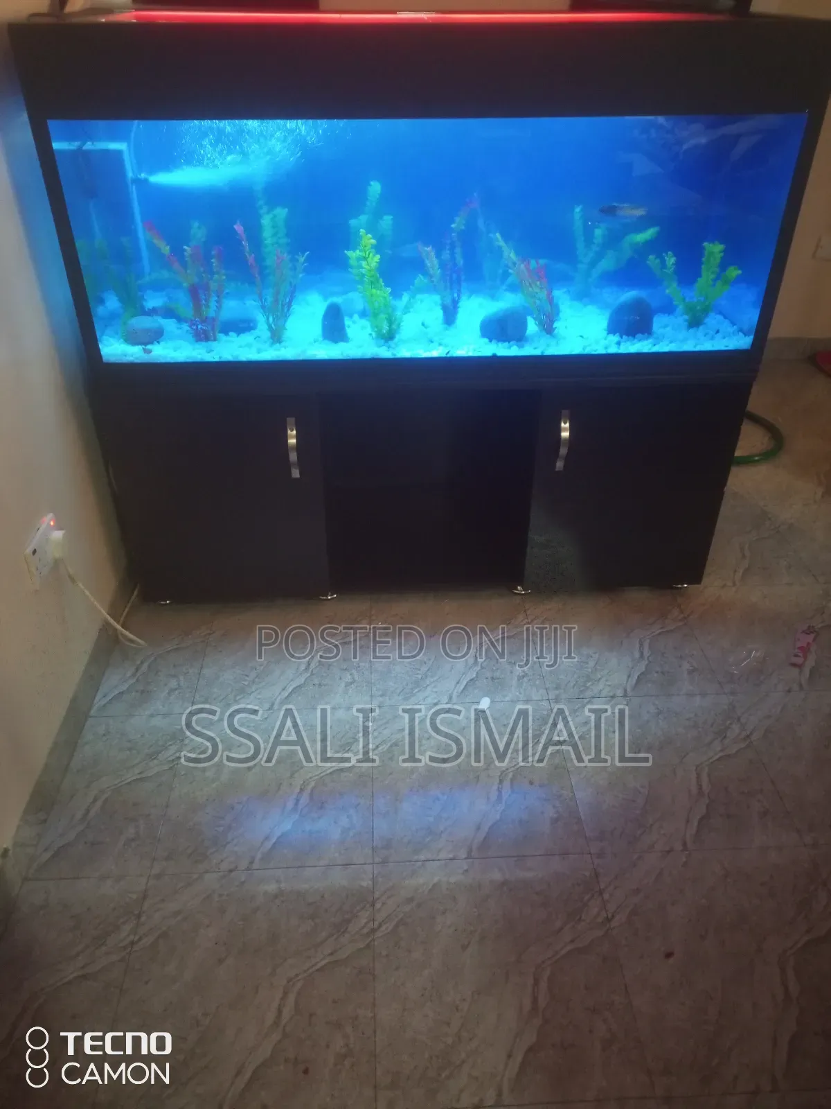 Neat Aquarium, Best Setup, Best Interior