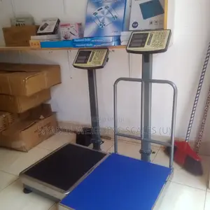 High Accuracy Platform Weighing Scales Yz-400kg(G6s)
