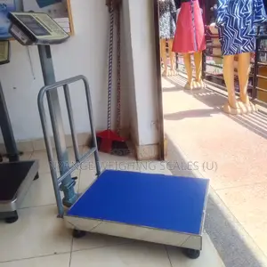 Portable Platform Weighing Scale Digital Weigh Electric Weighing Scale