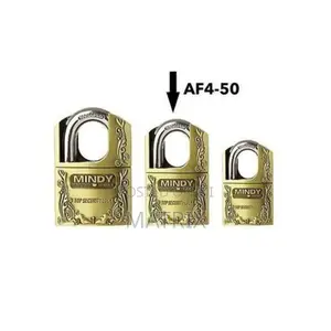 Mindy Secure Hardened Steel Padlock