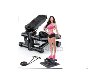 Mini Gym Stepper