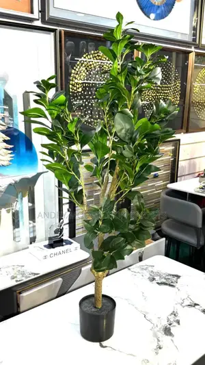 Executive Indoor Artificial Plant