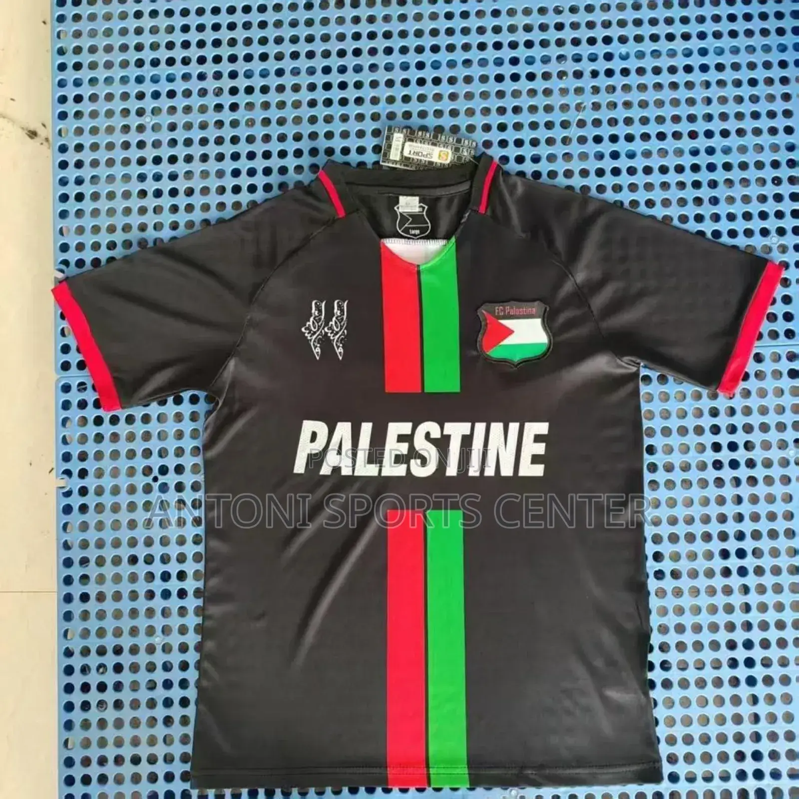 Palistan Jersey Original