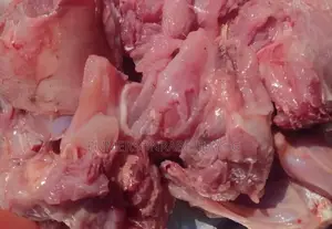 Rabbits Meat Per Kg