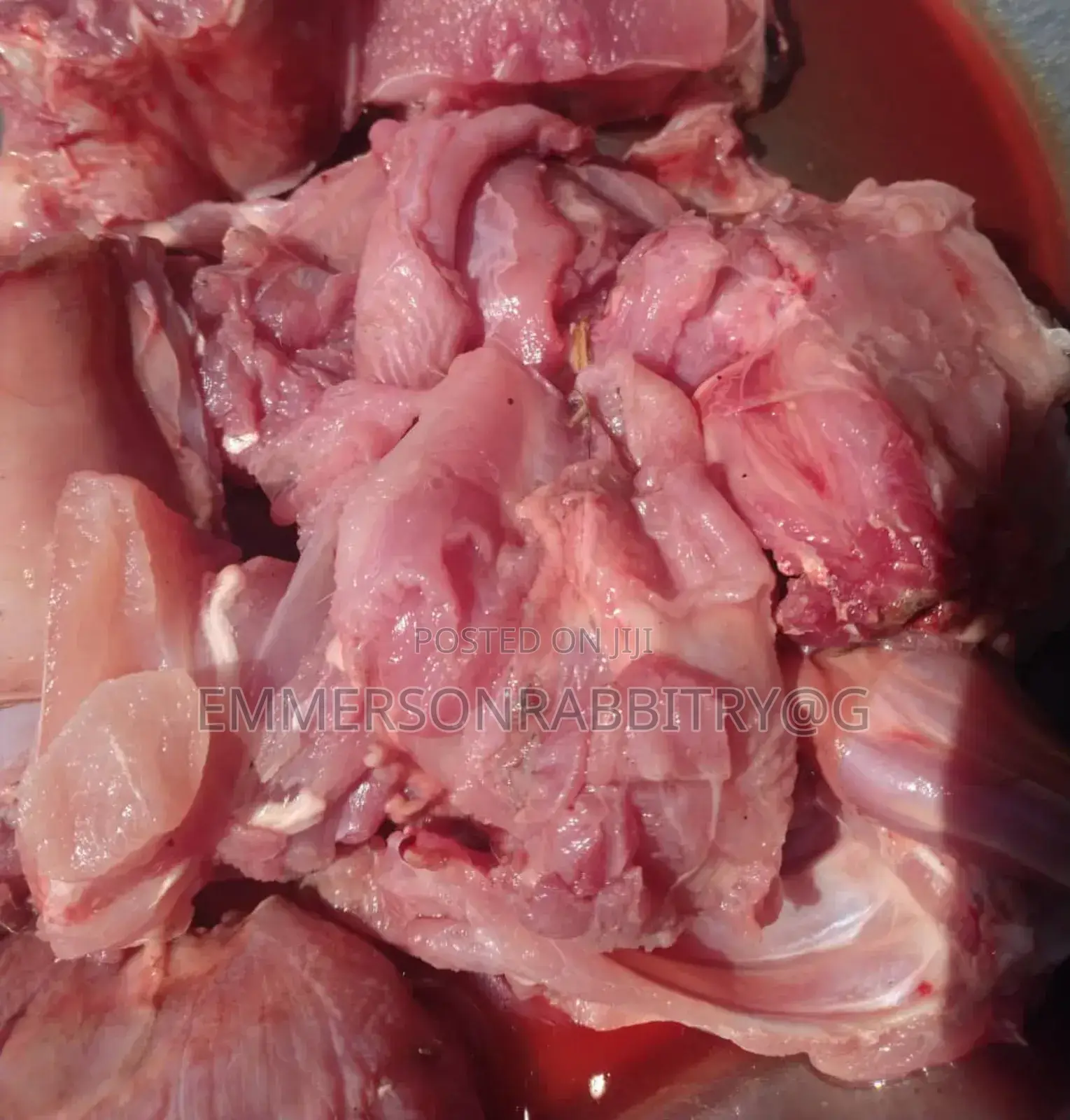 Rabbits Meat Per Kg