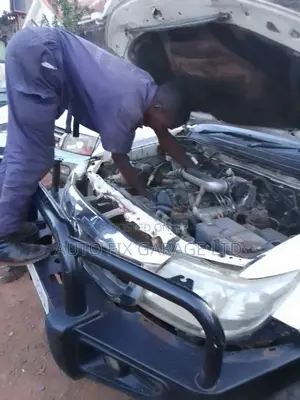 Professional Vehicle Mechanic