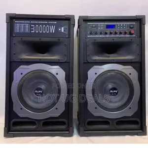 Ailipu Dual 10" Amplified Public Address Speaker 30000w