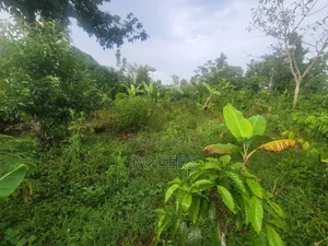 Land in Maya - Jadira 50*100 Ft