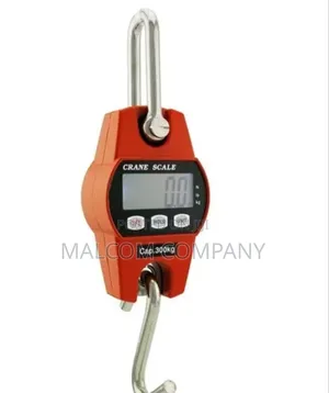 Crane Weighing Scale 100kg