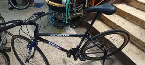 Adult Bike Size 28 Strong