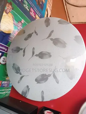 Large Multi Color Ceiling Lamp